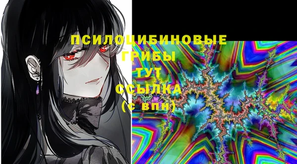 apvp Армянск