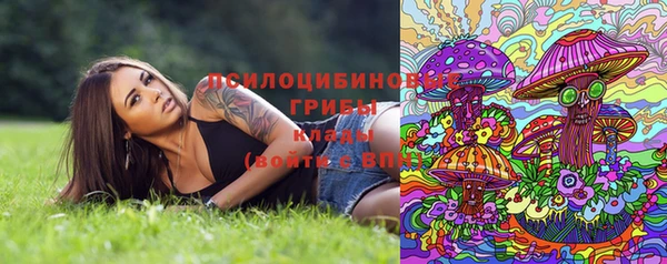 МДПВ Арсеньев
