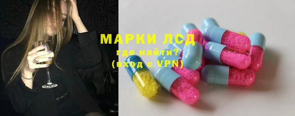 PSILOCYBIN Покачи