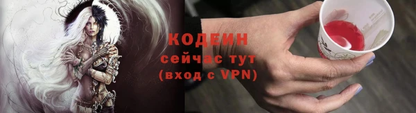 PSILOCYBIN Покачи