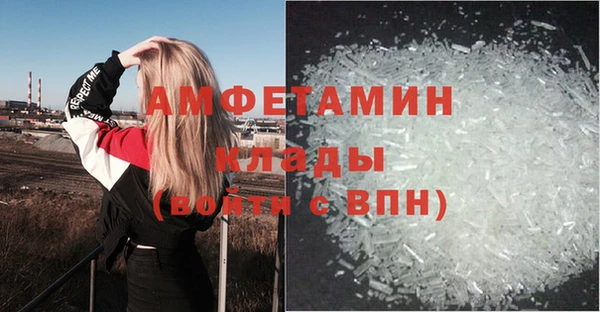 PSILOCYBIN Аркадак